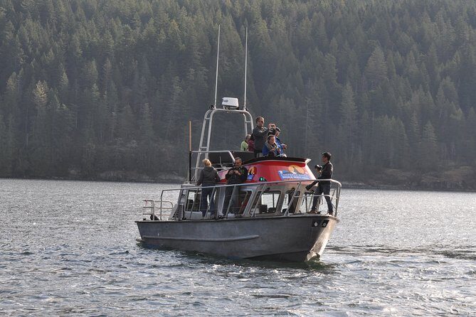 4 hour Covered Boat Whale and Wildlife Tour - Key Points