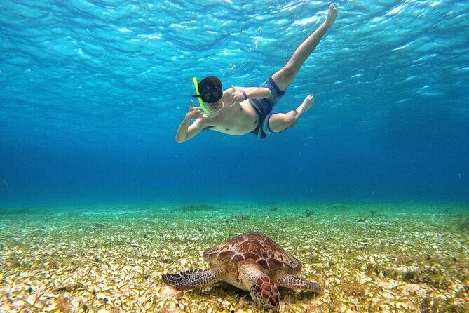 4 Hour Cozumel Turtle Sanctuary Experience on a Luxury Catamarán - Cost & Value: Is It Worth It?