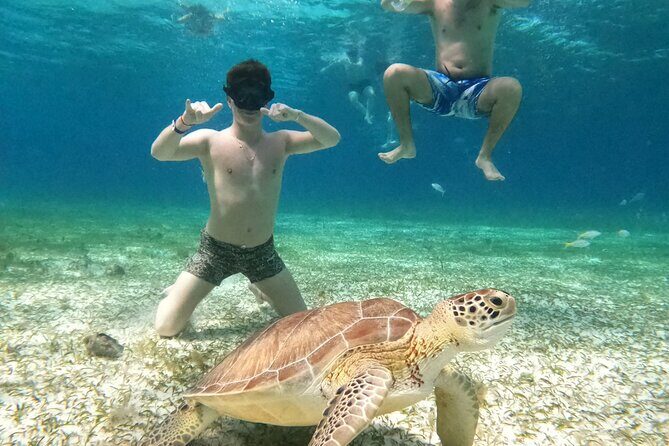 4 Hour Cozumel Turtle Sanctuary Experience on a Luxury Catamarán - Who Should Book This Tour?