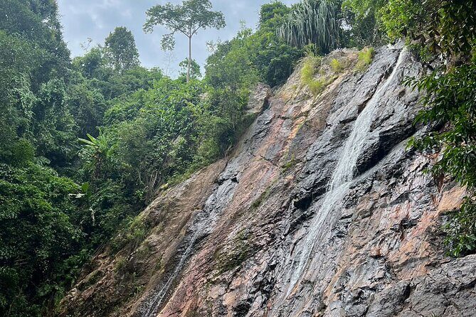 4-Hour Day Tour in Koh Samui - The Sum Up