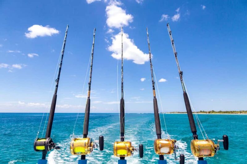 4 hour deep sea fishing experience from punta cana - Final Thoughts: Is It Worth It?