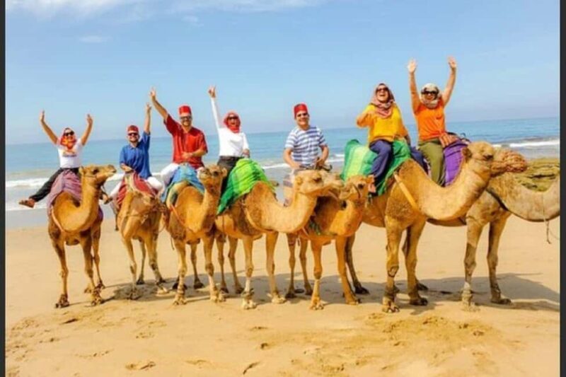 4 Hour Deluxe Private Guided Tour of Tangier - Who Will Love This Tour?