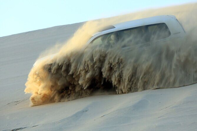 4 Hour Doha Desert Safari Tour - Introduction: What’s the Scoop on the Doha Desert Safari?