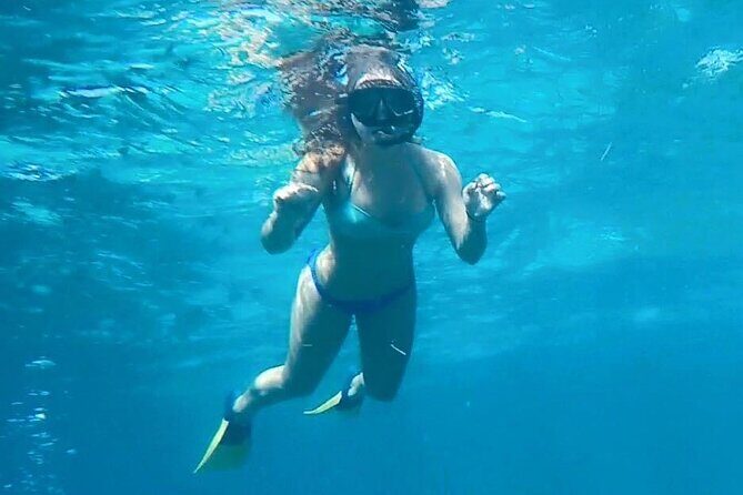 4 Hour Egmont Key Island Tour With Dolphins & Snorkeling Included - Pricing and Value Analysis