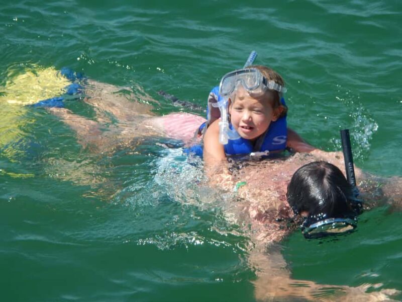 4 Hour Egmont Key Island Tour With Dolphins & Snorkeling - The Itinerary: What to Expect Each Step of the Way
