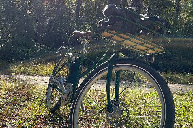 4 Hour Electric Bike Rentals in Asheville - The Bikes: Power Meets Practicality