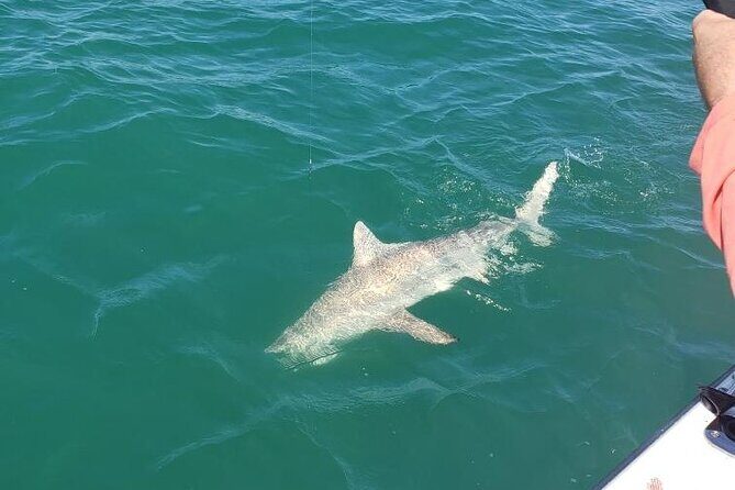 4-hour Fishing Adventure at Belleair Causeway - FAQ