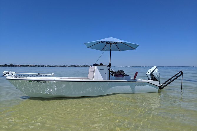 4 hour Fishing Charter with a Tampa Native - Who Will Love This Tour?