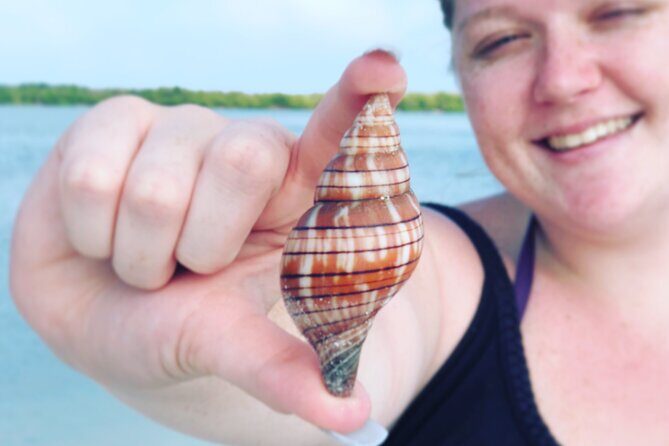 4 Hour Kice Island Shelling Trip - Key Points