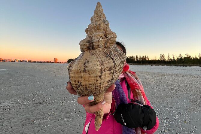 4 Hour Kice Island Shelling Trip - Shelling, Wildlife, and Learning
