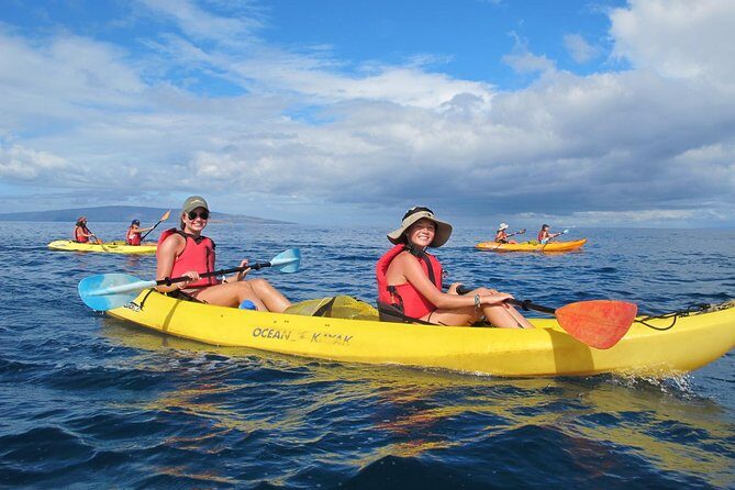 4-Hour Makena Whale Watch Tour - Key Points
