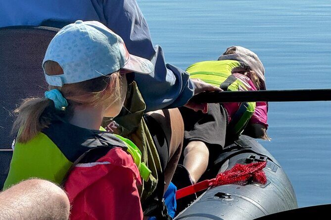 4-Hour Mangrove Island and Dolphin Watch Sandbar in Fort Pierce - Why This Tour Stands Out