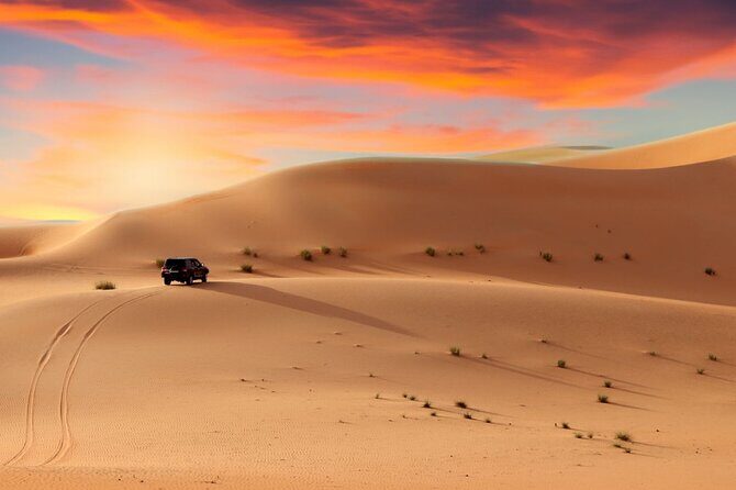 4 Hour Morning Desert Safari Tour with Camel Ride and Quad Bike - Who Will Love This Experience?
