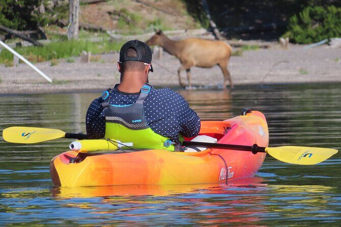 4-Hour Morning Kayak on Yellowstone Lake with Lunch - Why We Think This Tour Offers Great Value