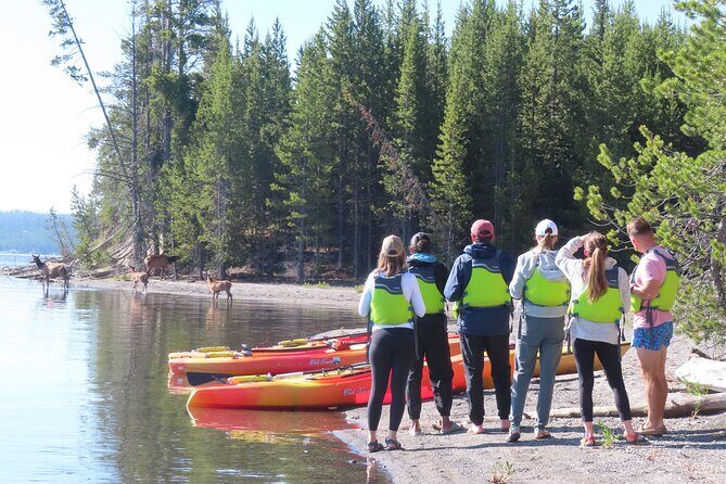 4-Hour Morning Kayak on Yellowstone Lake with Lunch - Final Thoughts