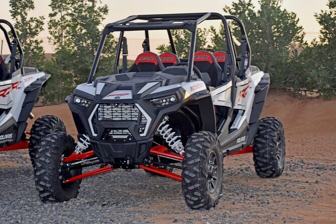 4-Hour Morning Safari with 60-Minute Buggy - Authenticity and Value