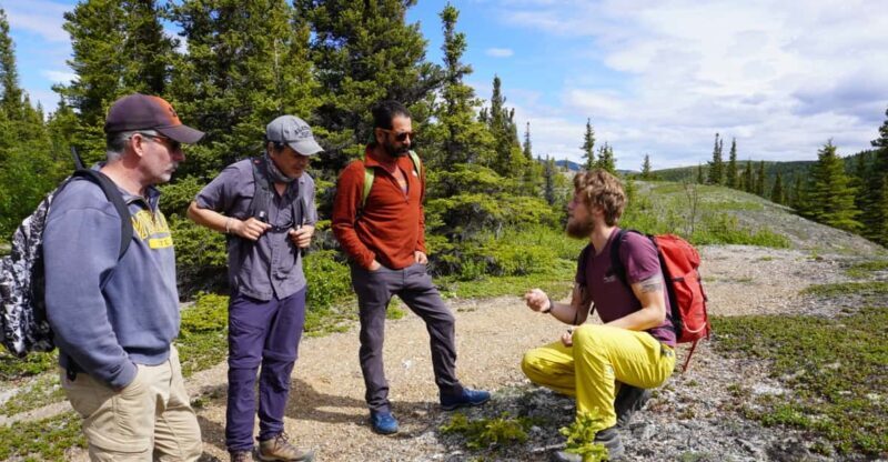 4 Hour Off-Trail Wilderness Wonders Tour in Denali - The Experience in Detail