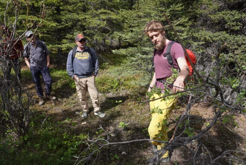 4 Hour Off-Trail Wilderness Wonders Tour in Denali - Who Will Love This Tour?