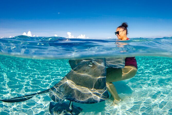4 hour Private Boat charter to Stingray City, Snorkeling and More - Key Points