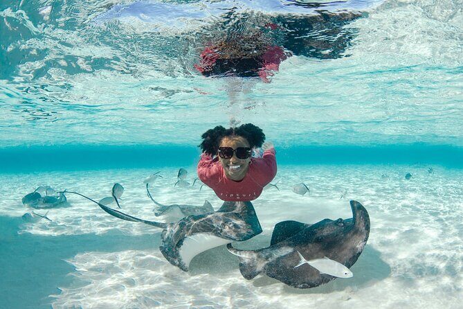 4 hour Private Boat charter to Stingray City, Snorkeling and More - An In-Depth Look at the Experience
