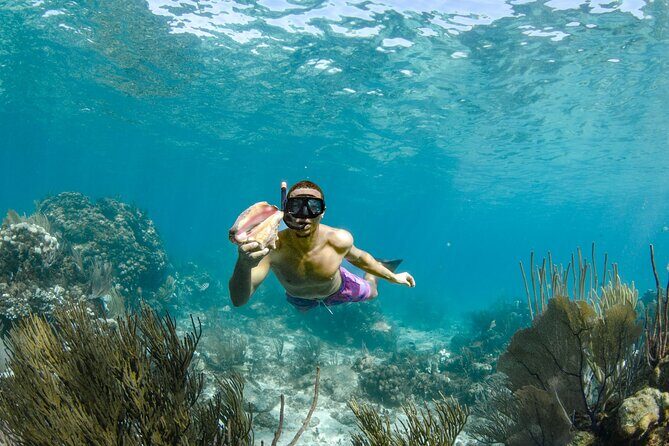 4 hour Private Boat charter to Stingray City, Snorkeling and More - FAQs