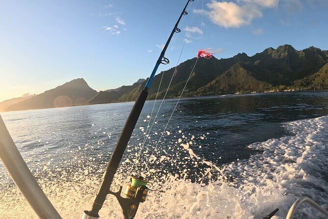 4 Hour Private Fishing Discovery Tour - Key Points