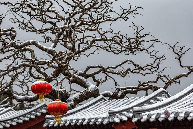 4-Hour Private Forbidden City Walking Tour with Bird's ViewOption - Final Thoughts: Who Will Appreciate This Tour?