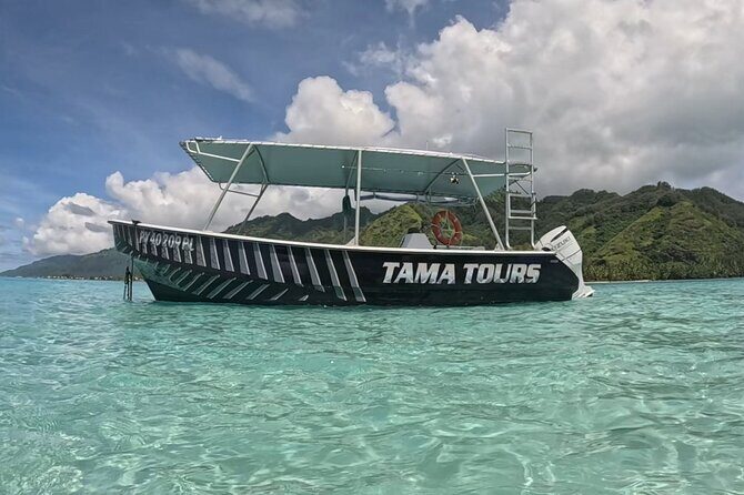 4 Hour Private Humpback Whales Encounter in Moorea - An Authentic Encounter in Moorea’s Waters