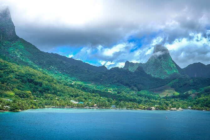 4 Hour Private Humpback Whales Encounter in Moorea - The Experience’s Highlighted Reviews