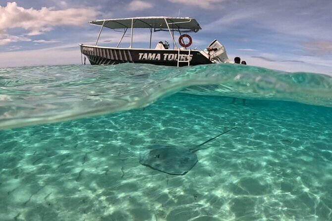 4 Hour Private Humpback Whales Encounter in Moorea - Practical Tips for Booking