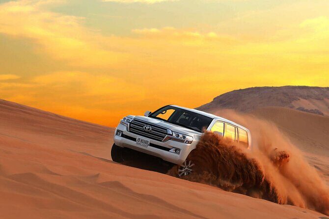 4-Hour Private Morning Desert Safari Jeep Admiring Desert Flora and Fauna - A Genuine Look at the 4-Hour Private Morning Desert Safari Jeep in Dubai
