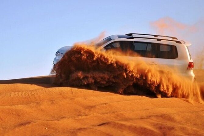 4-Hour Private Morning Desert Safari Jeep Admiring Desert Flora and Fauna - Who Will Love This Safari?
