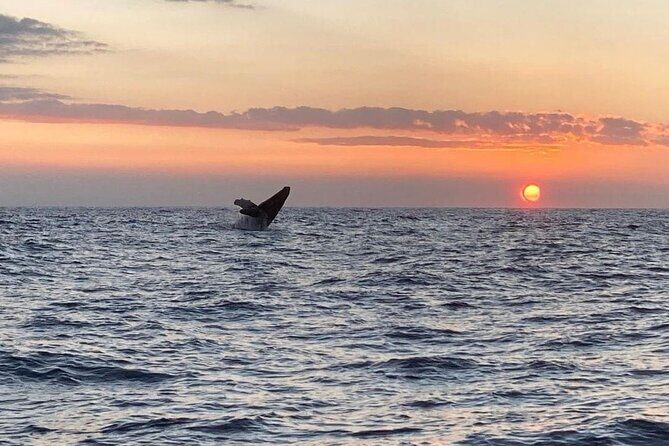 4 Hour Private Sunset Fishing Charter - FAQ