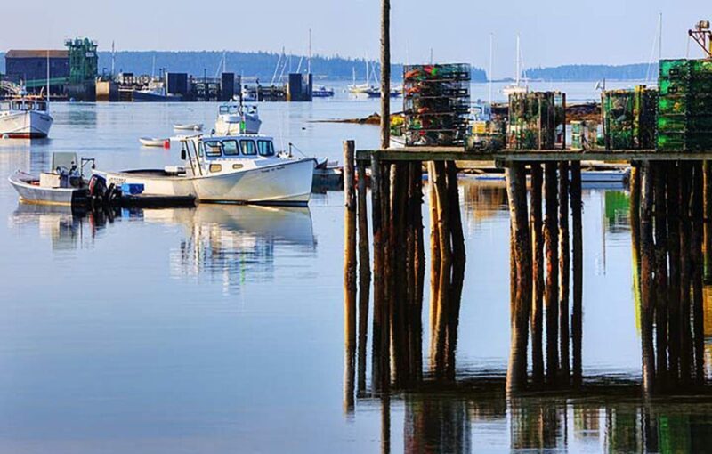 4 Hour Private Tour: Acadia, Fjord, Gardens & Mansions - Key Points
