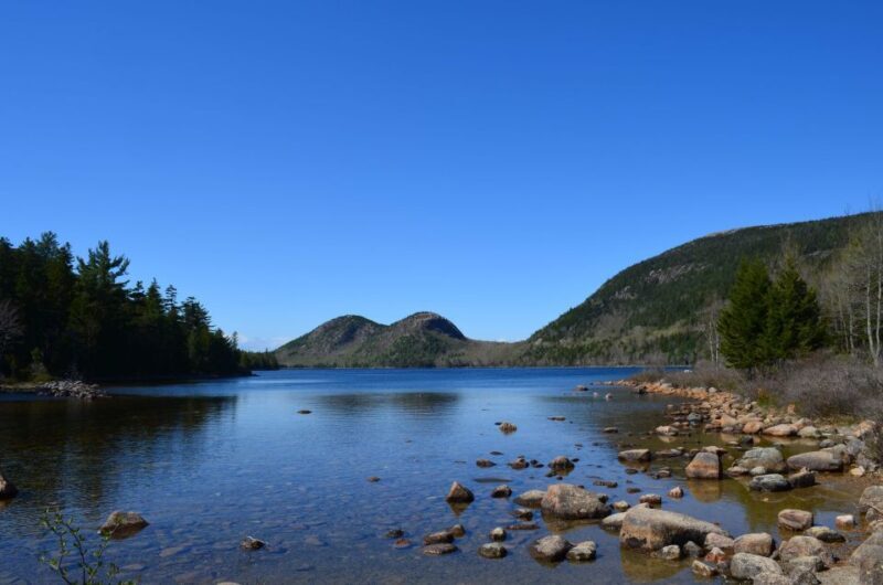 4 Hour Private Tour: Acadia, Fjord, Gardens & Mansions - Who Is This Tour Best For?