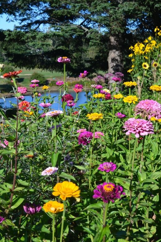 4 Hour Private Tour: Acadia, Fjord, Gardens & Mansions - The Sum Up