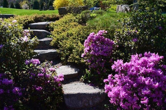4 Hour Private Tour: Explore Acadia Nat'l Park, Fjord & Mansions - The Experience: What to Expect on the Tour