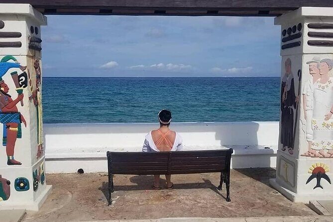 4-Hour Private Tour in Cozumel with Pickup - Who Should Book This Tour?