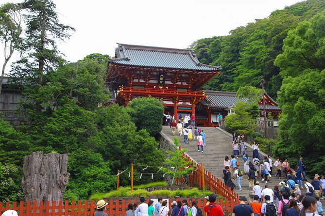 4-hour Private Tour of Kamakura with Government-Licensed Guide - Practical Considerations: Pricing, Duration, and Comfort