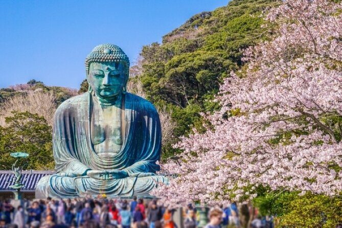 4-hour Private Tour of Kamakura with Government-Licensed Guide - The Sum Up