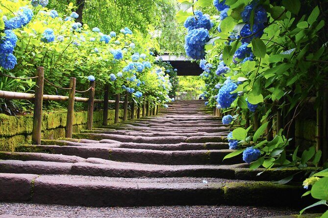 4-hour Private Tour of Kamakura with Government-Licensed Guide - FAQ
