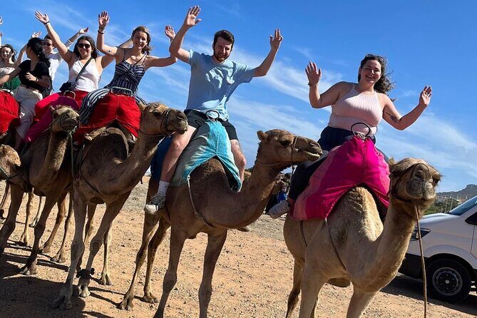 4-hour Private Tour of Tangier - The Sum Up: Who Is This Tour Best For?