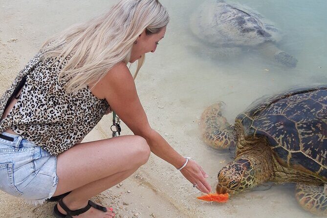 4 Hour: Private Tropical Trio Excursion (with Hotel Pickup) - Wrapping It Up