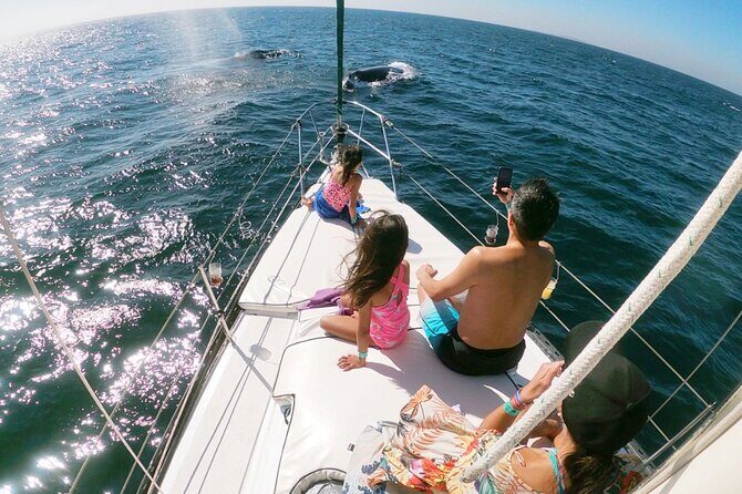 4-Hour Private Whale Watching in Puerto Vallarta - The Itinerary and What to Expect