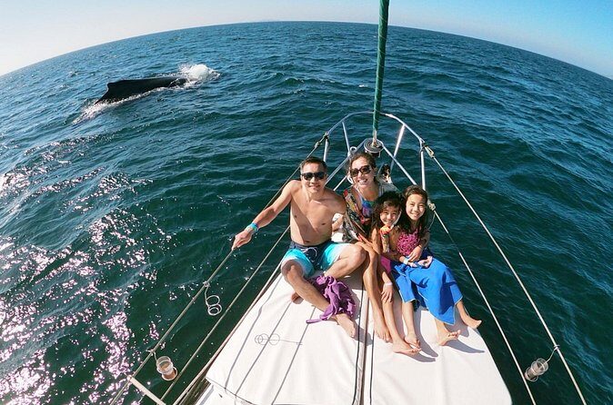 4-Hour Private Whale Watching in Puerto Vallarta - Comfort and Practicalities