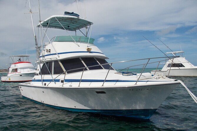 4 Hour Punta Cana Fishing Tour - Practical Tips for Future Anglers
