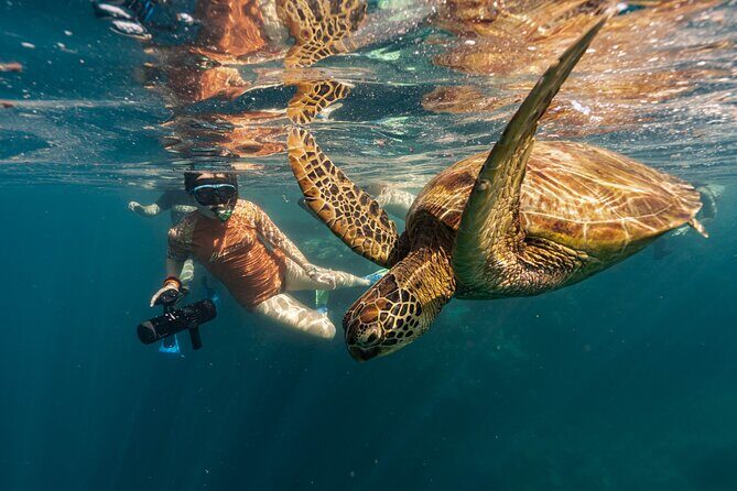 4-Hour Rarotonga Going Troppo Nightlife Tour - The Practicalities