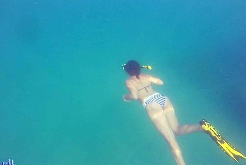 *4-Hour Roqueta Island Snorkeling, out of the Bay Experience - Key Points