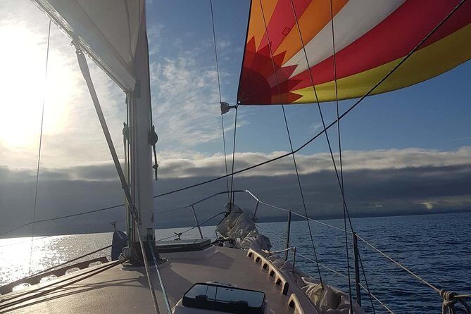 4-Hour Sailing Adventure on The Strait of Juan de Fuca - An In-Depth Look at the Sailing Adventure