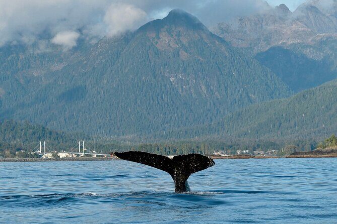 4 Hour Sitka Eco-Friendly Catch & Release Private Fishing Charter - Key Points